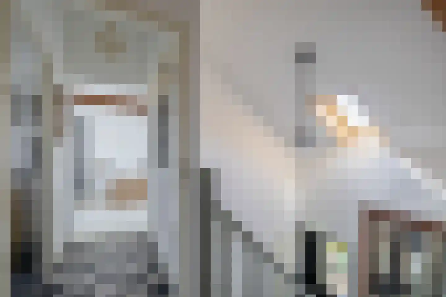 Opperdonkseweg 8 b Lottum thumbnail 40