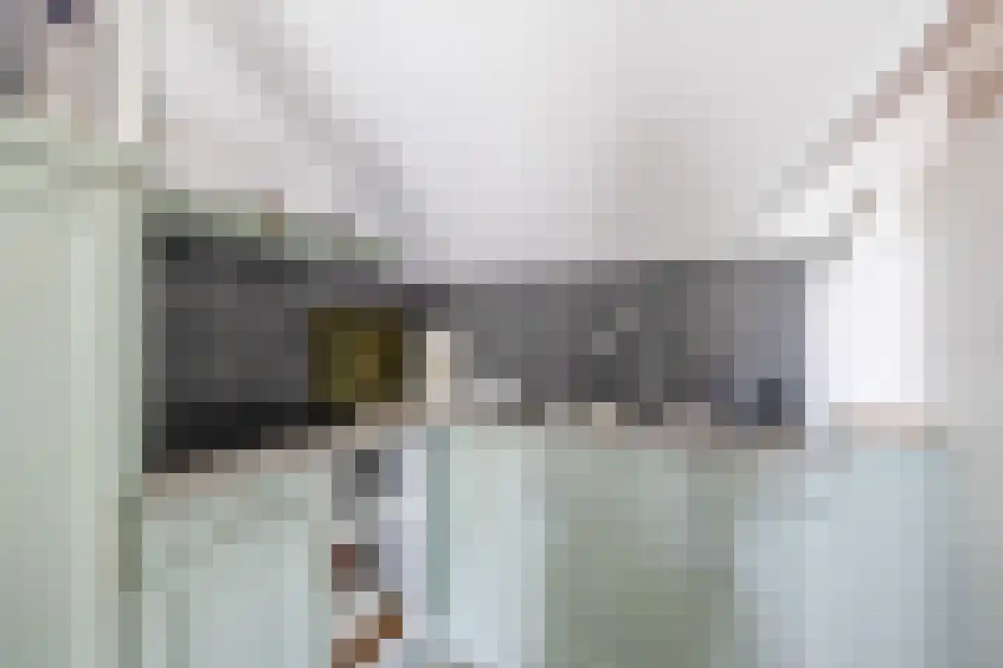 Opperdonkseweg 8 b Lottum thumbnail 44