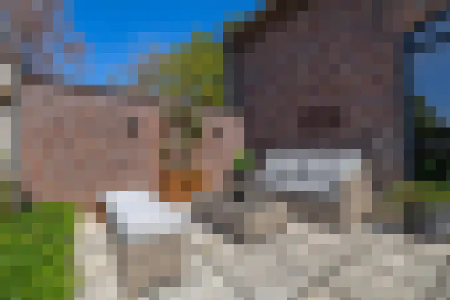Opperdonkseweg 8 b Lottum thumbnail 50