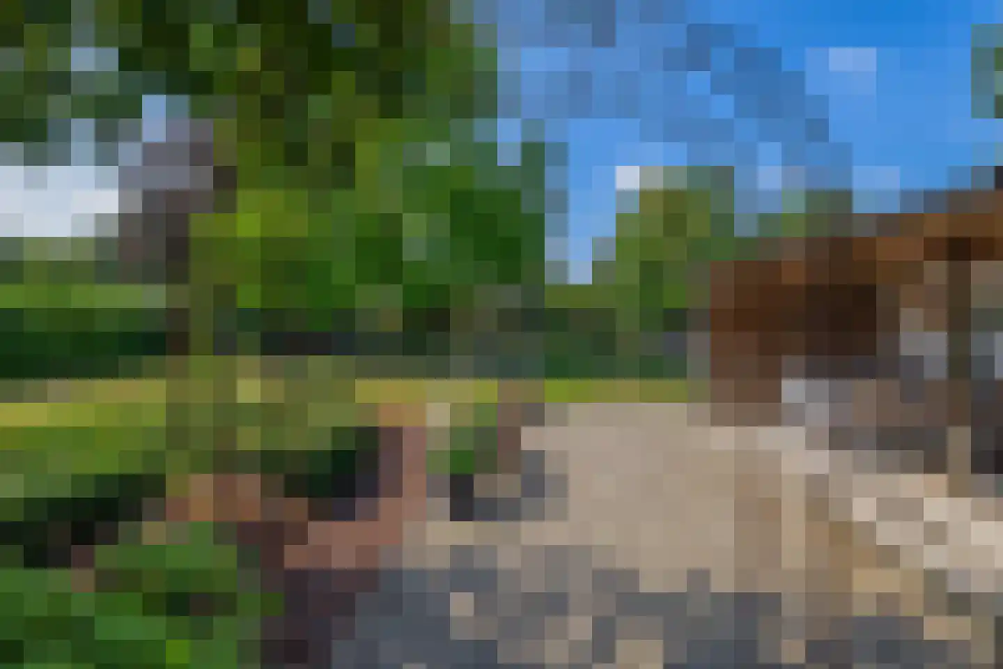 Opperdonkseweg 8 b Lottum thumbnail 54