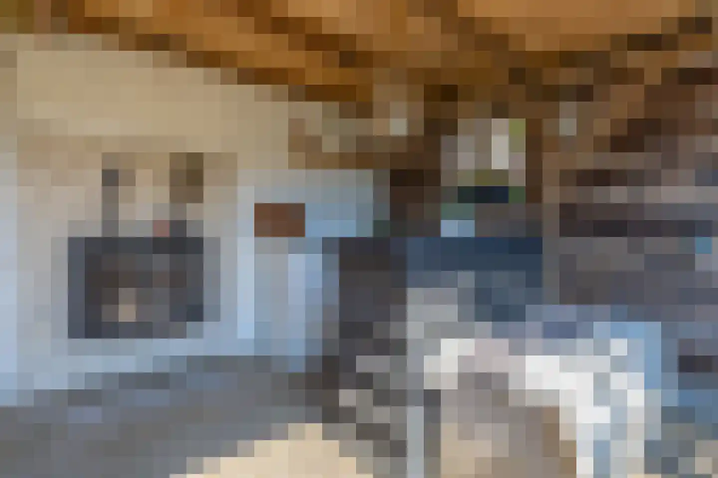 Opperdonkseweg 8 b Lottum thumbnail 56