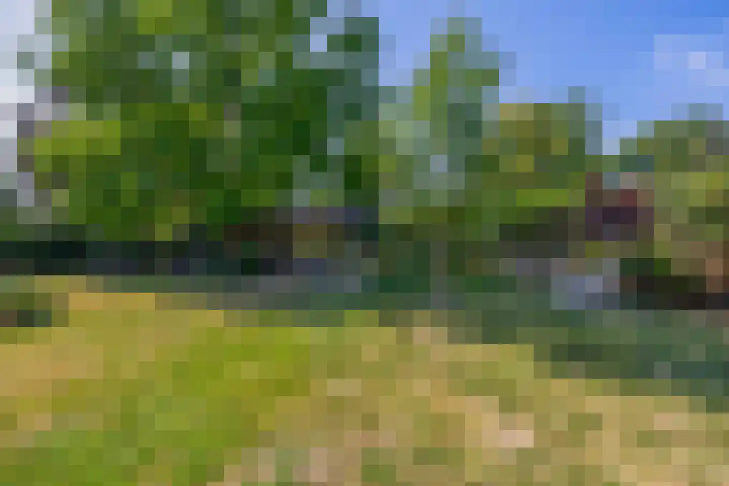 Opperdonkseweg 8 b Lottum thumbnail 58