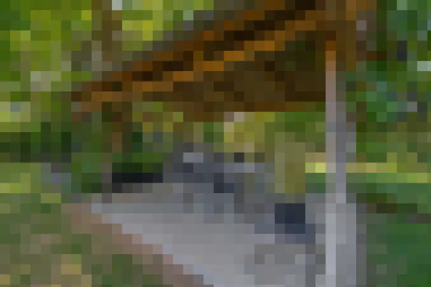 Opperdonkseweg 8 b Lottum thumbnail 59