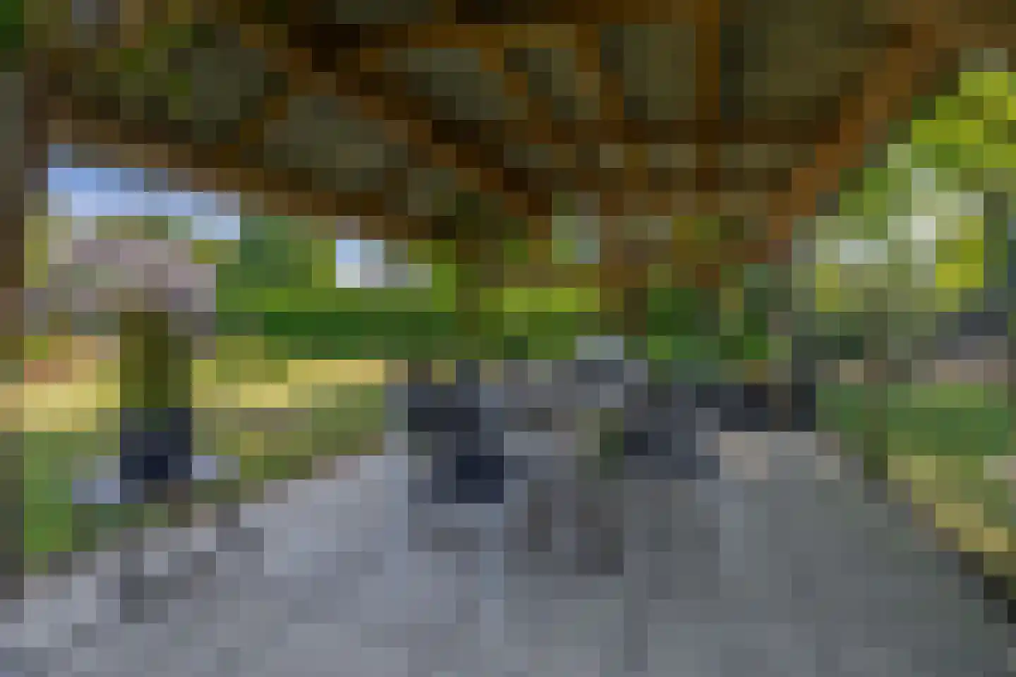 Opperdonkseweg 8 b Lottum thumbnail 60