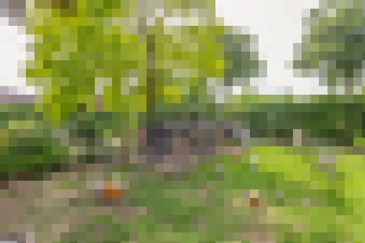 Opperdonkseweg 8 b Lottum thumbnail 61