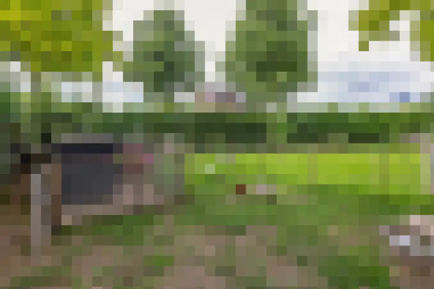 Opperdonkseweg 8 b Lottum thumbnail 62