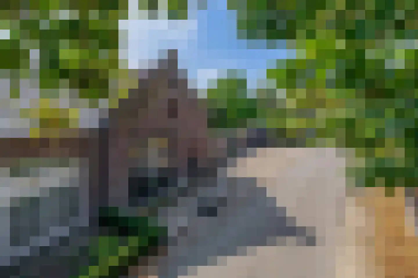Opperdonkseweg 8 b Lottum thumbnail 68