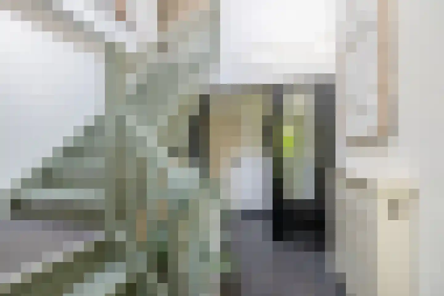 Opperdonkseweg 8 b Lottum thumbnail 7