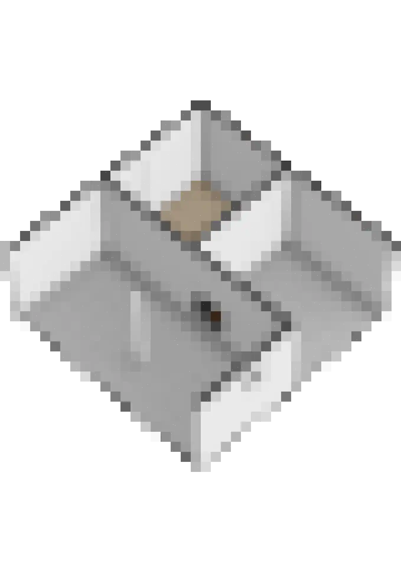 Opperdonkseweg 8 b Lottum thumbnail 75