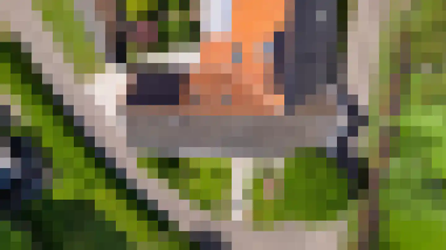 Opperdonkseweg 8 Lottum thumbnail 10
