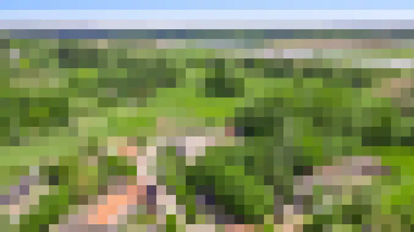 Opperdonkseweg 8 Lottum thumbnail 12