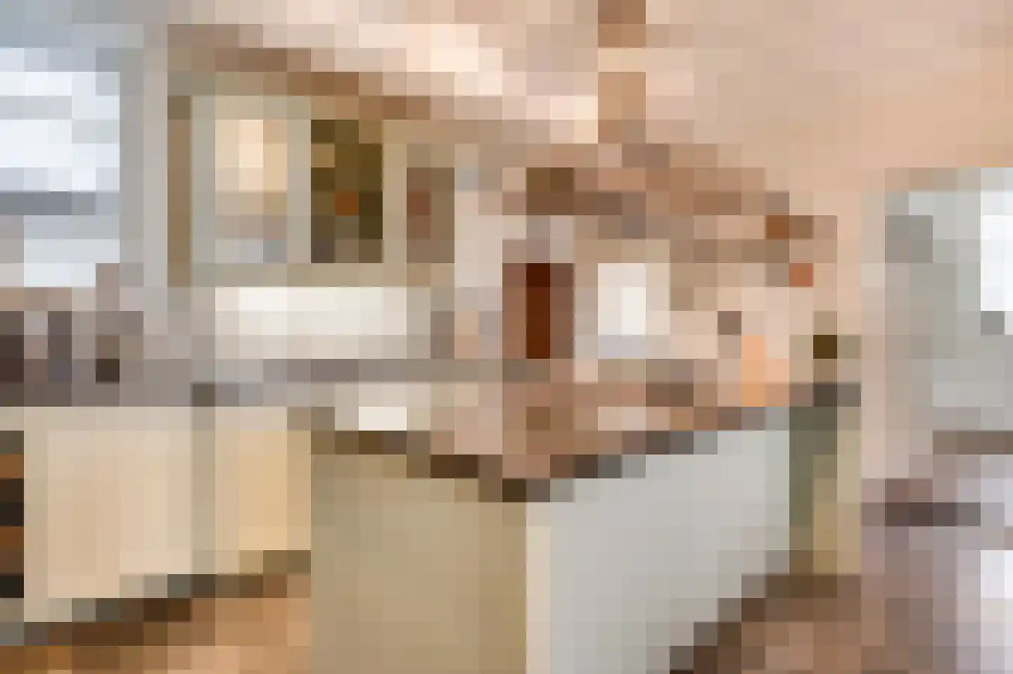 Opperdonkseweg 8 Lottum thumbnail 25