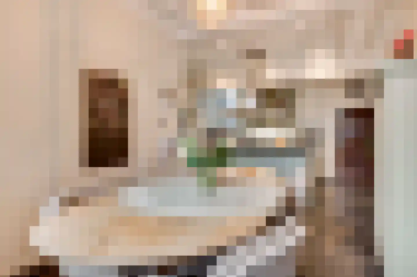Opperdonkseweg 8 Lottum thumbnail 30