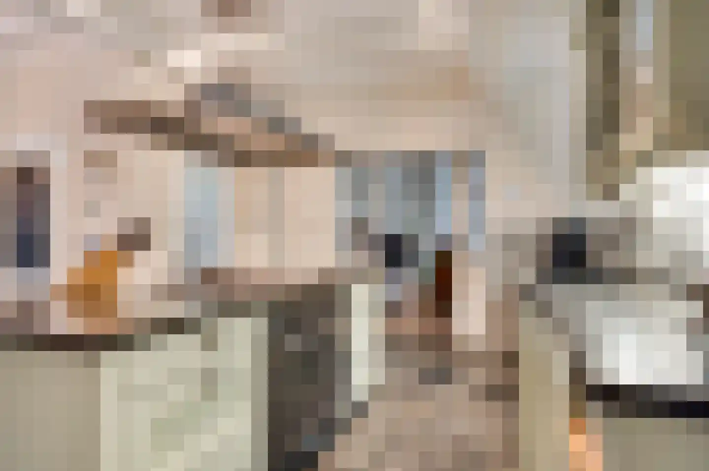 Opperdonkseweg 8 Lottum thumbnail 31