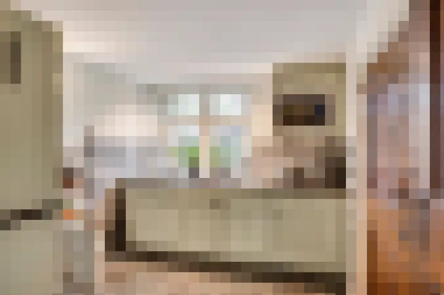 Opperdonkseweg 8 Lottum thumbnail 32