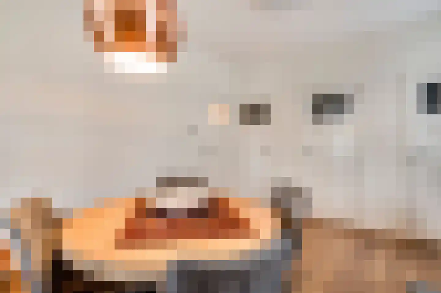 Opperdonkseweg 8 Lottum thumbnail 35
