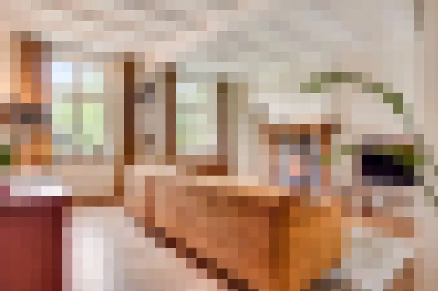 Opperdonkseweg 8 Lottum thumbnail 39