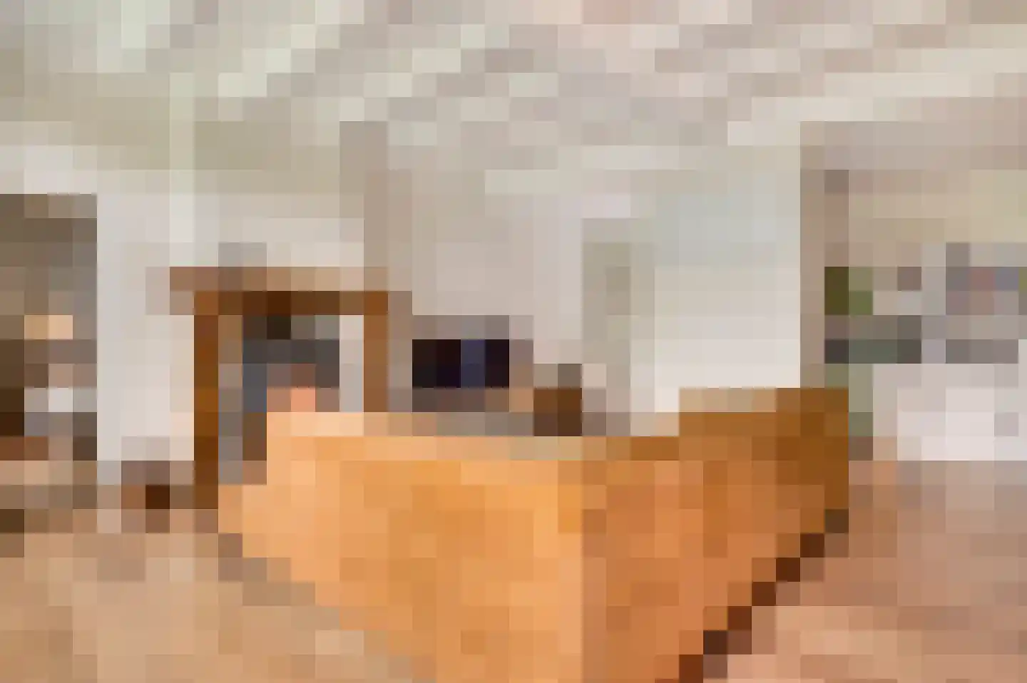 Opperdonkseweg 8 Lottum thumbnail 40