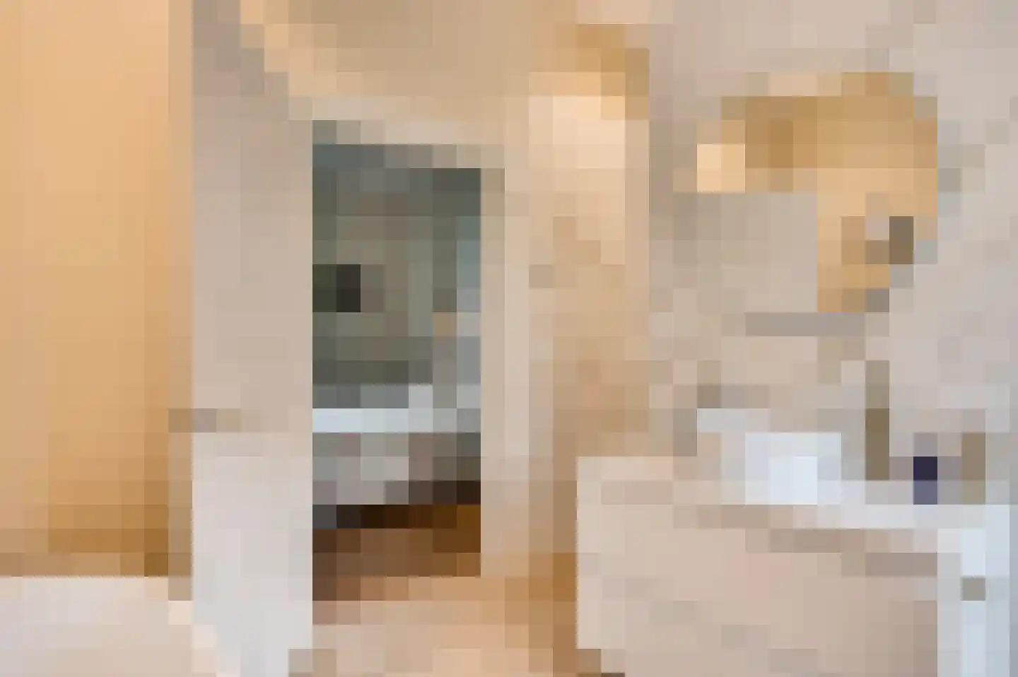 Opperdonkseweg 8 Lottum thumbnail 48