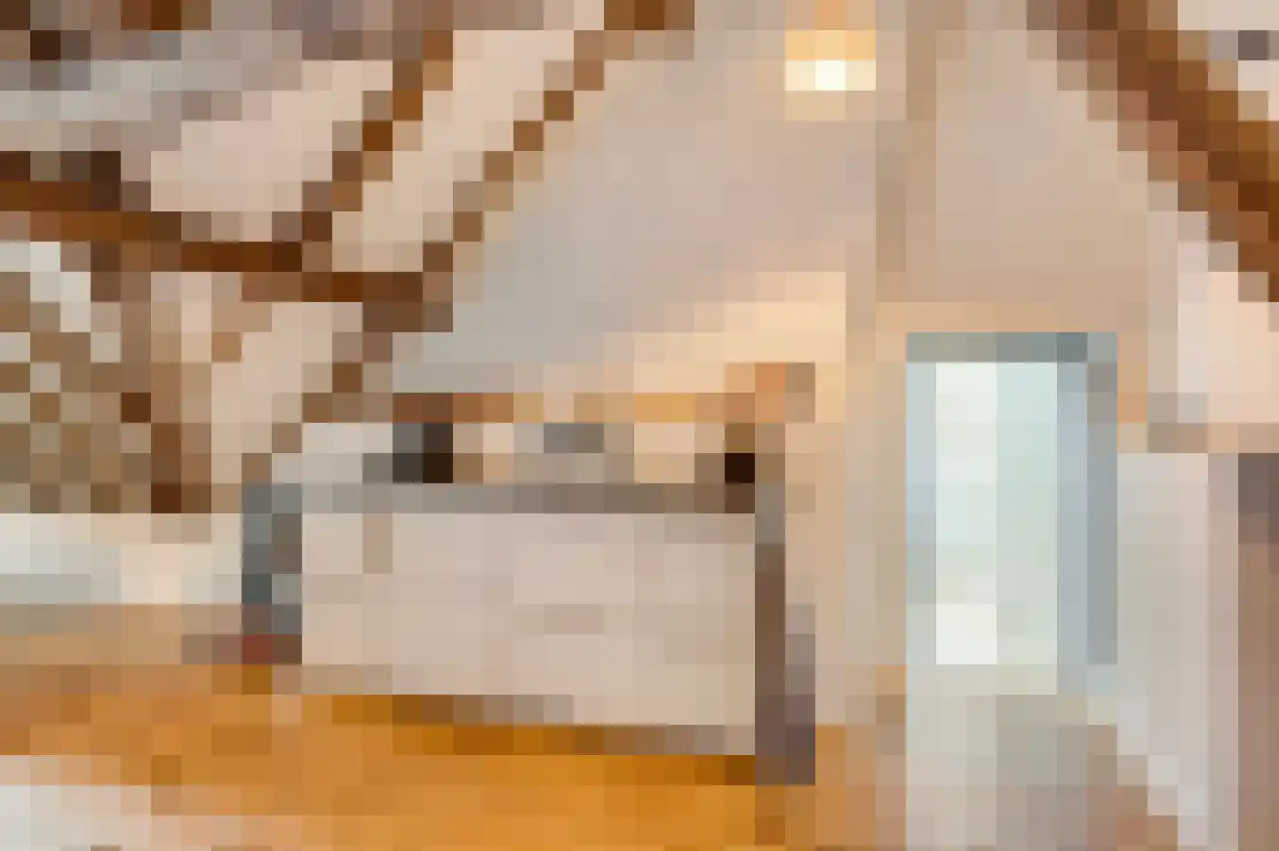 Opperdonkseweg 8 Lottum thumbnail 55