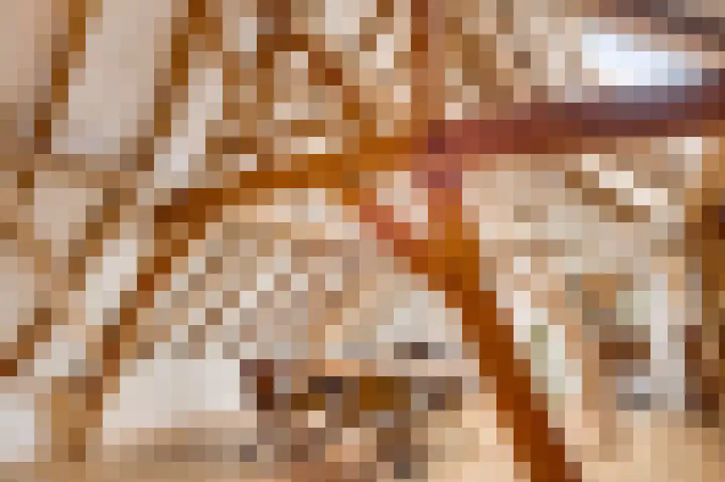 Opperdonkseweg 8 Lottum thumbnail 56