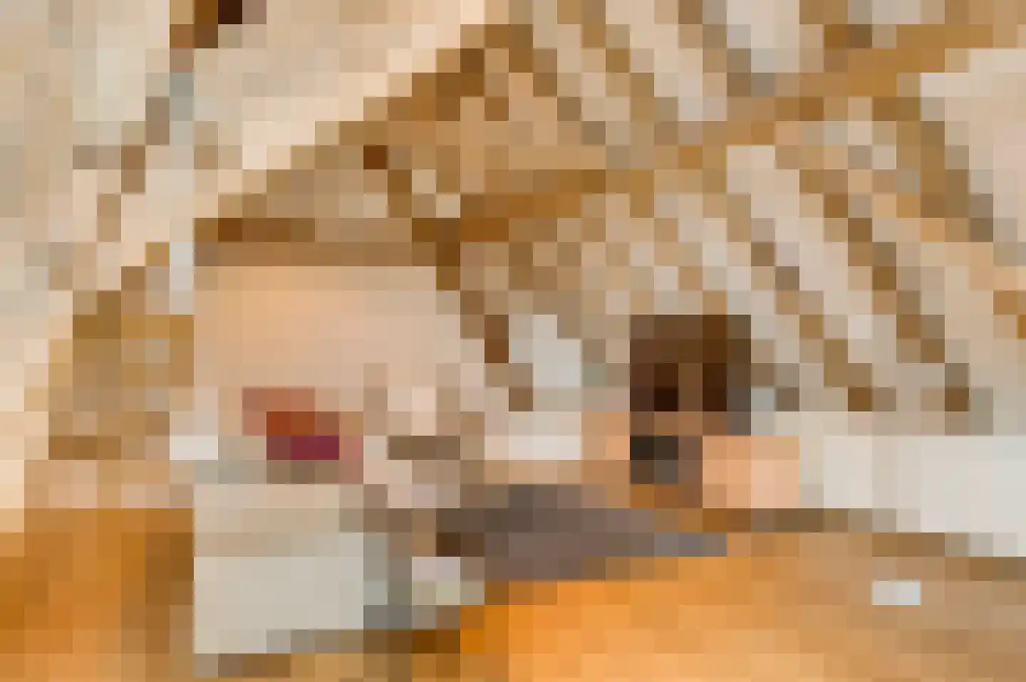 Opperdonkseweg 8 Lottum thumbnail 59