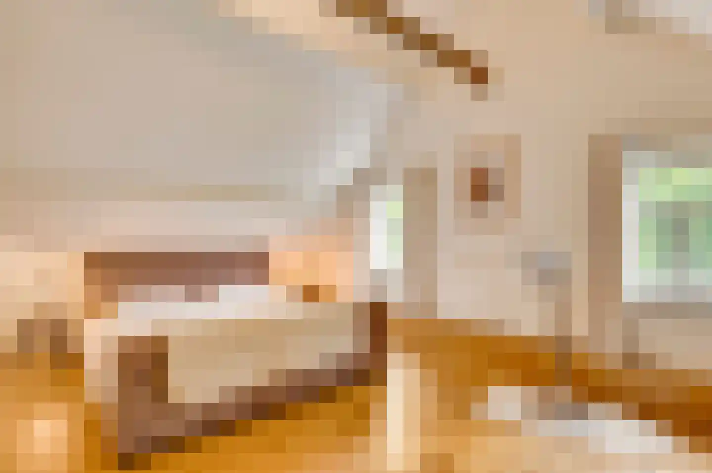 Opperdonkseweg 8 Lottum thumbnail 64