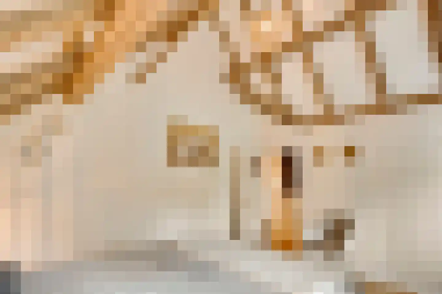 Opperdonkseweg 8 Lottum thumbnail 67