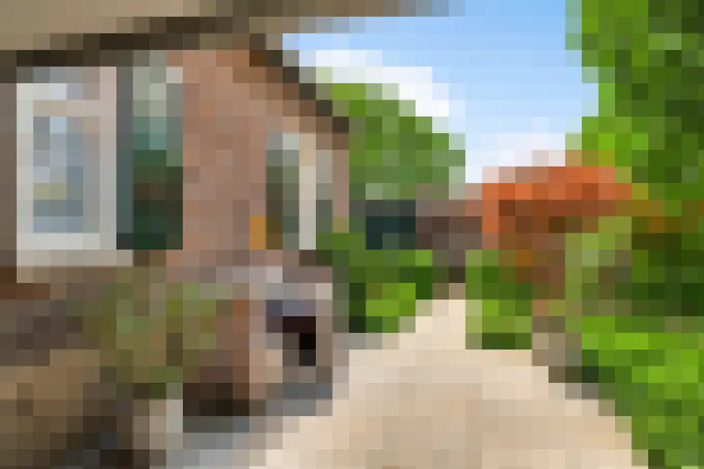 Opperdonkseweg 8 Lottum thumbnail 69