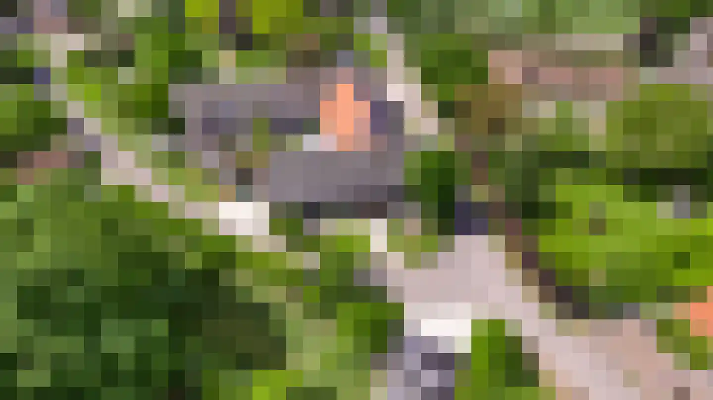 Opperdonkseweg 8 Lottum thumbnail 7