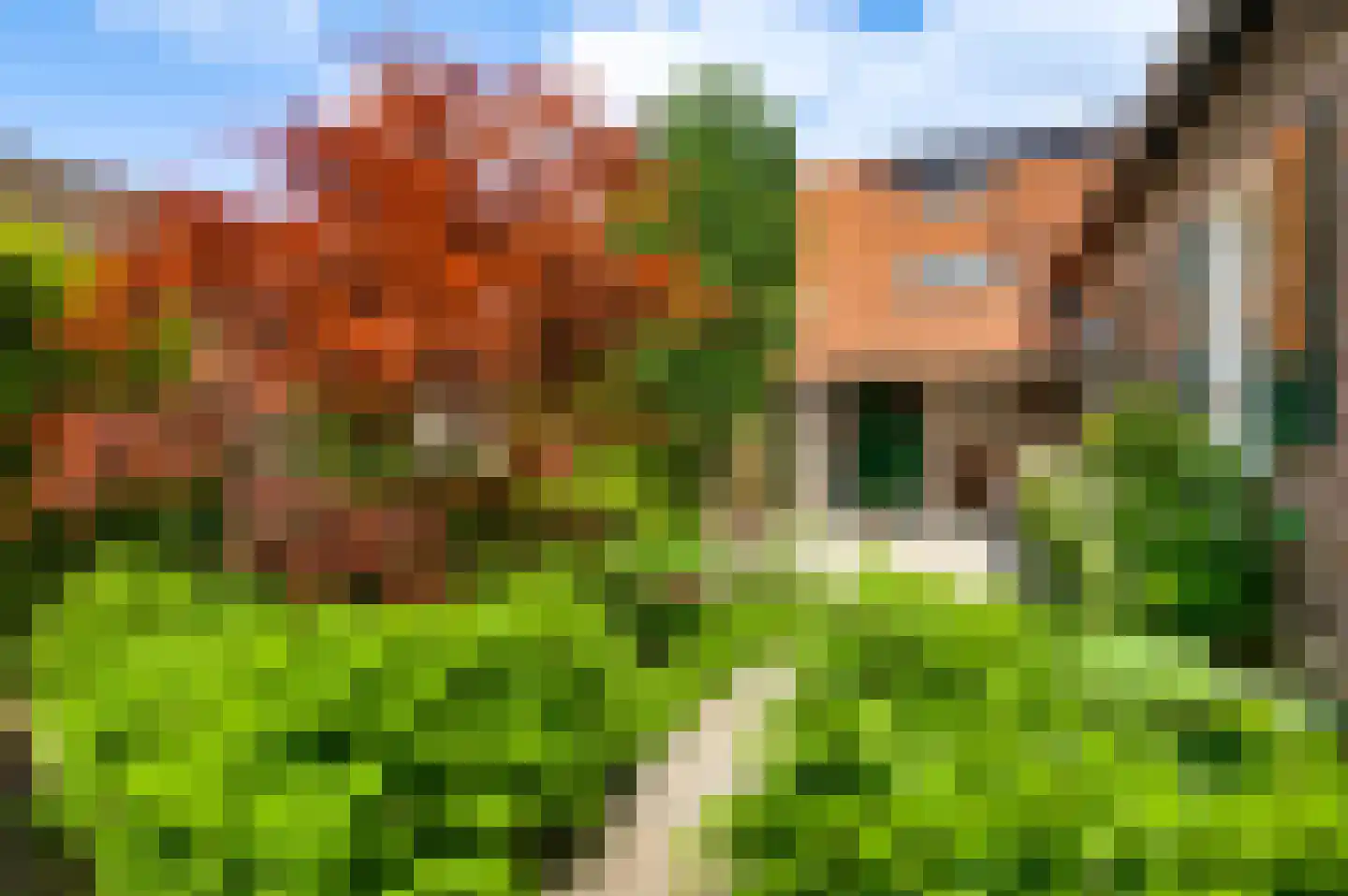 Opperdonkseweg 8 Lottum thumbnail 70