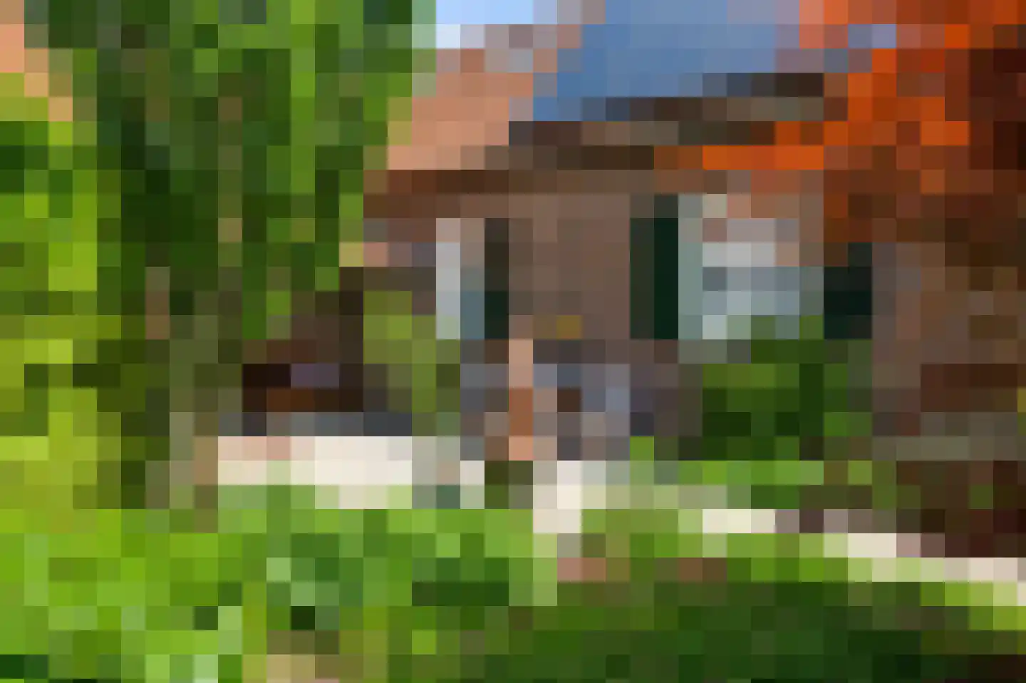 Opperdonkseweg 8 Lottum thumbnail 71