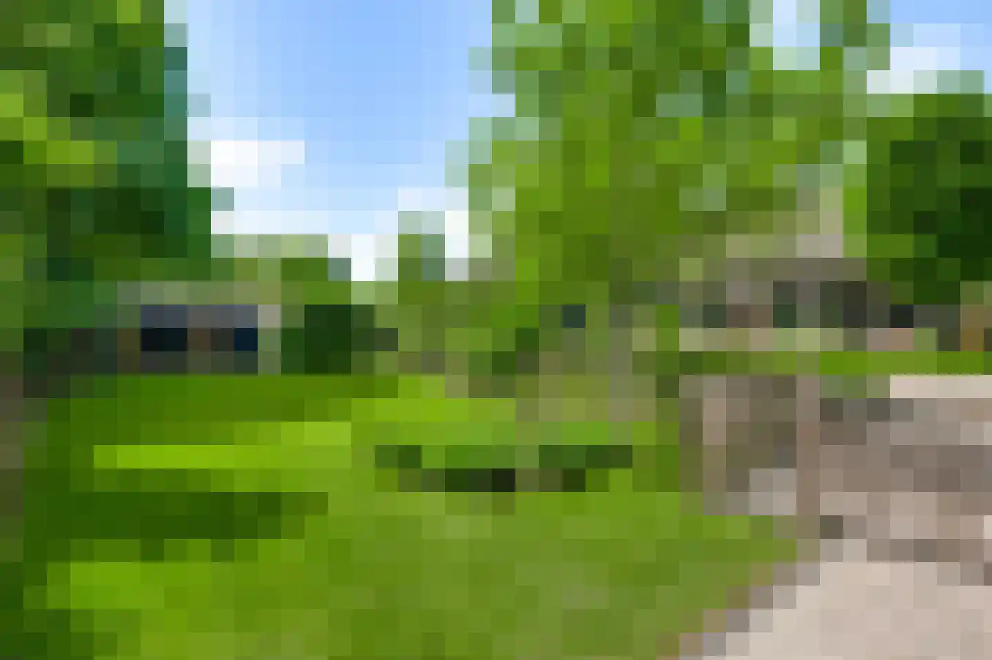 Opperdonkseweg 8 Lottum thumbnail 73