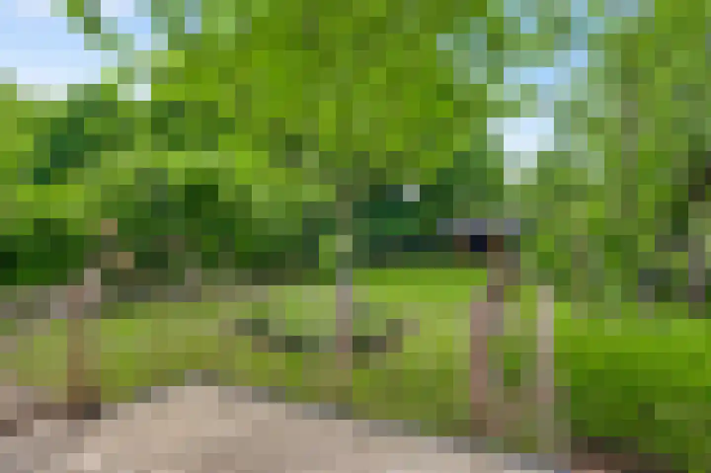 Opperdonkseweg 8 Lottum thumbnail 74