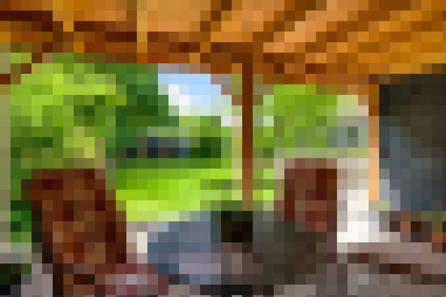 Opperdonkseweg 8 Lottum thumbnail 76