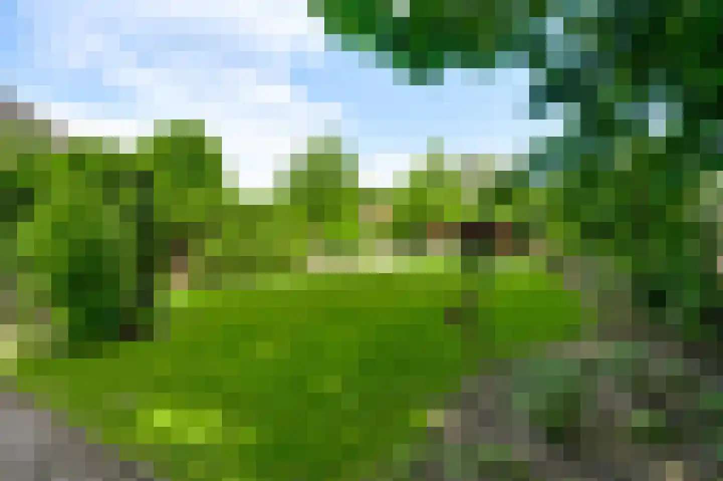 Opperdonkseweg 8 Lottum thumbnail 78
