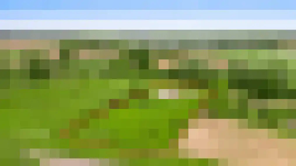 Opperdonkseweg 8 Lottum thumbnail 79