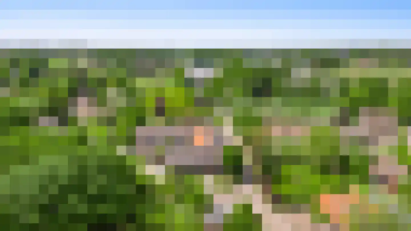 Opperdonkseweg 8 Lottum thumbnail 8