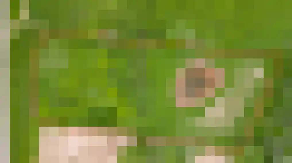 Opperdonkseweg 8 Lottum thumbnail 81