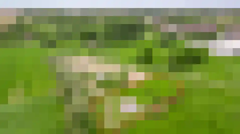 Opperdonkseweg 8 Lottum thumbnail 82