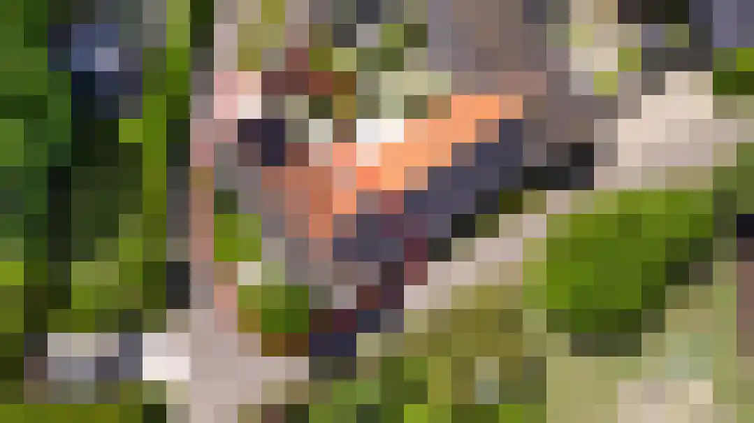 Opperdonkseweg 8 Lottum thumbnail 9