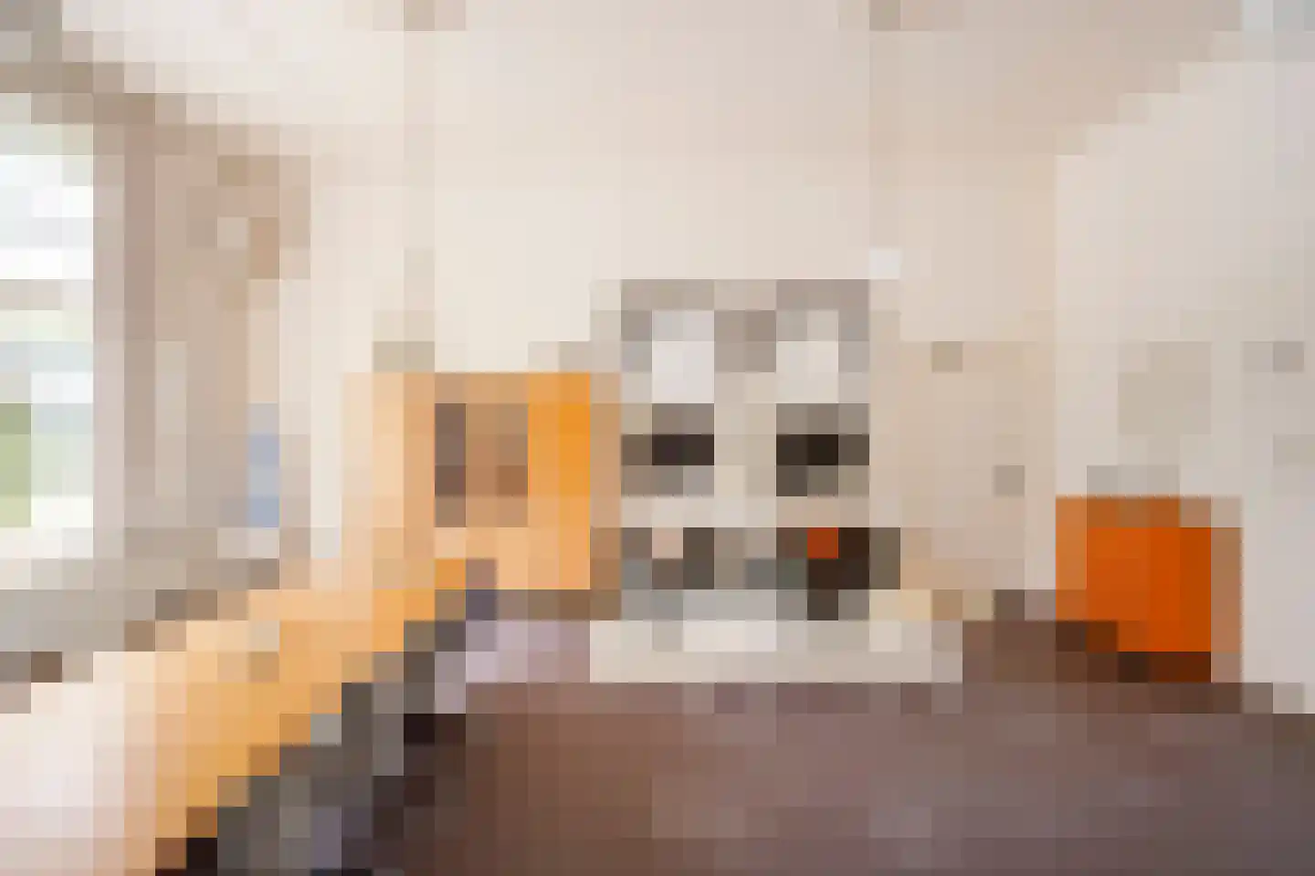 Opperduit 146 Lekkerkerk thumbnail 23