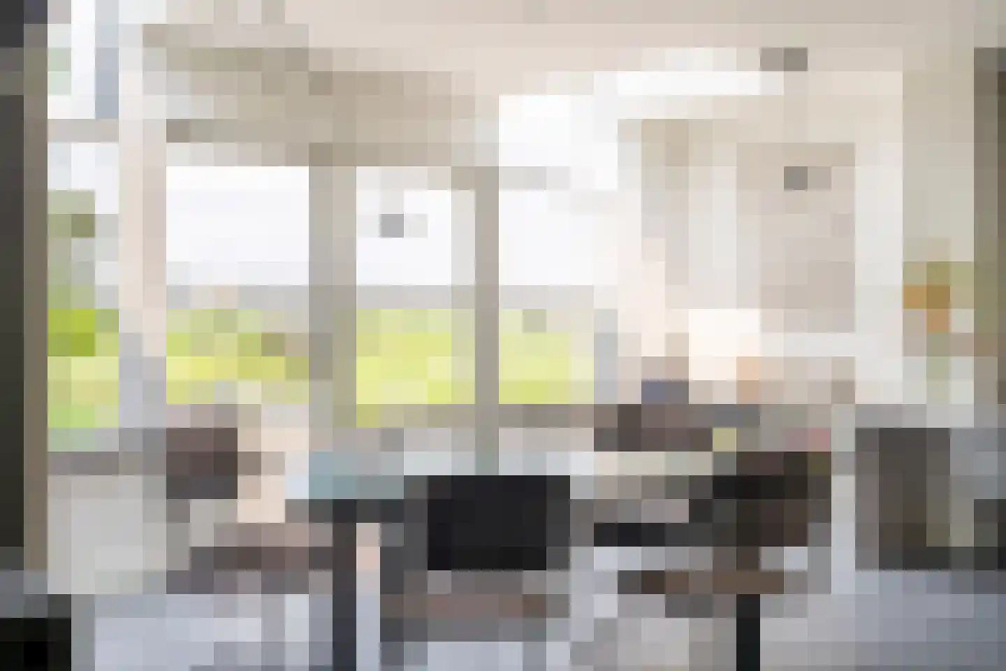 Opperduit 146 Lekkerkerk thumbnail 30
