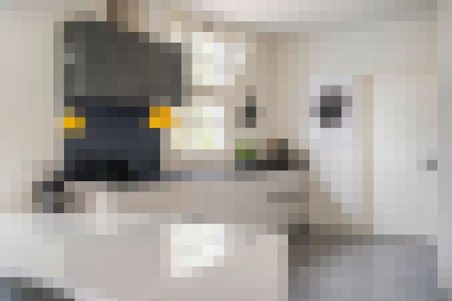 Opperduit 146 Lekkerkerk thumbnail 33