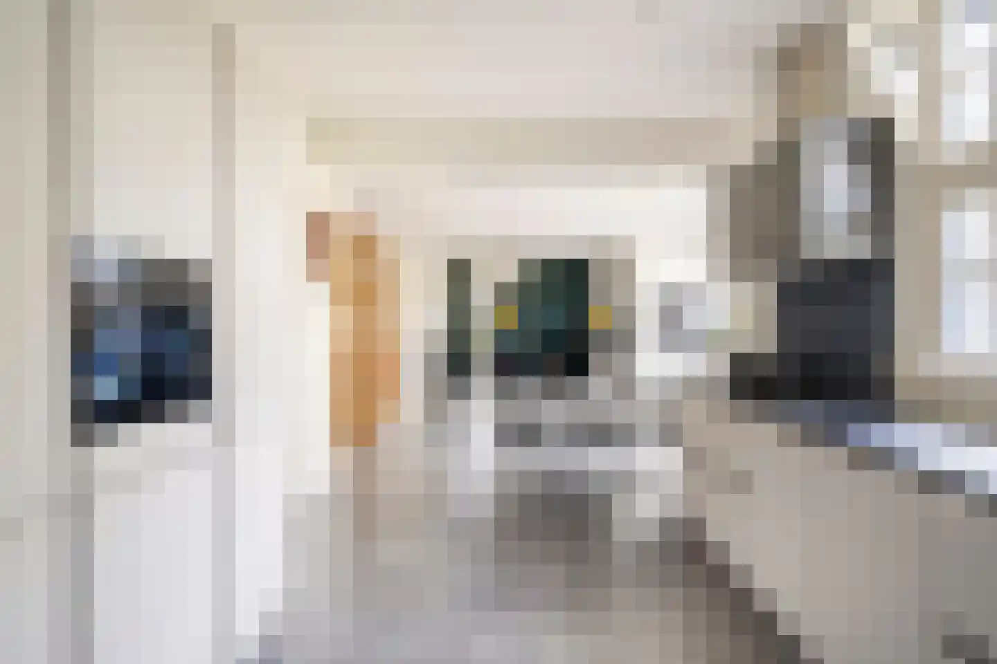 Opperduit 146 Lekkerkerk thumbnail 35