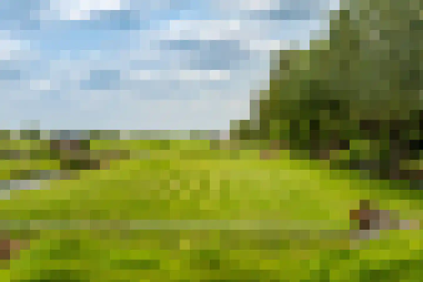 Opperduit 146 Lekkerkerk thumbnail 4
