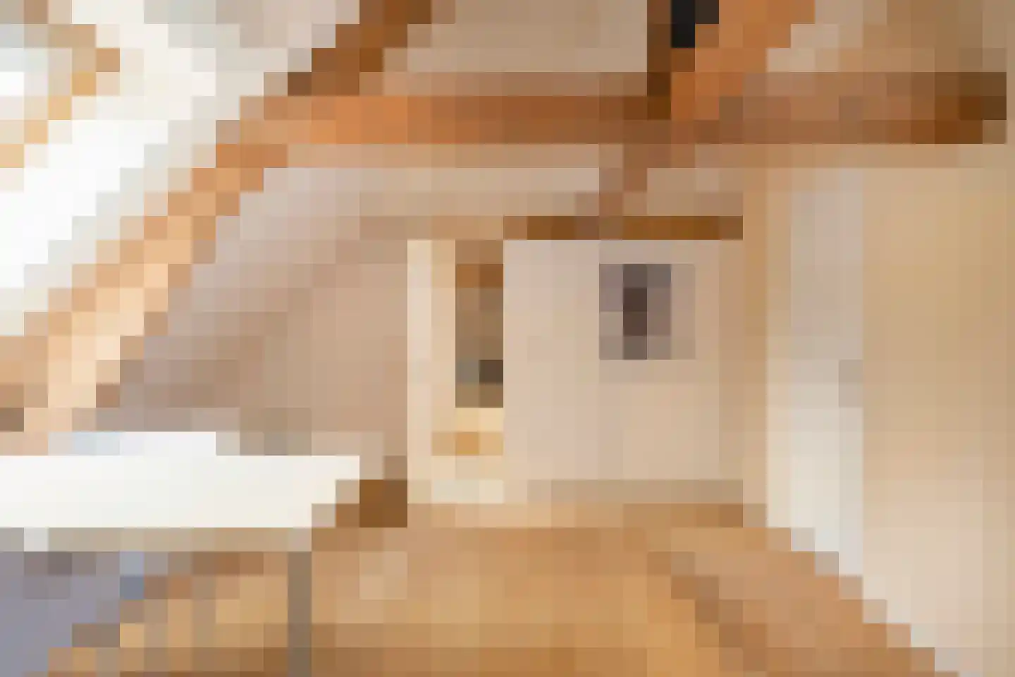 Opperduit 146 Lekkerkerk thumbnail 49