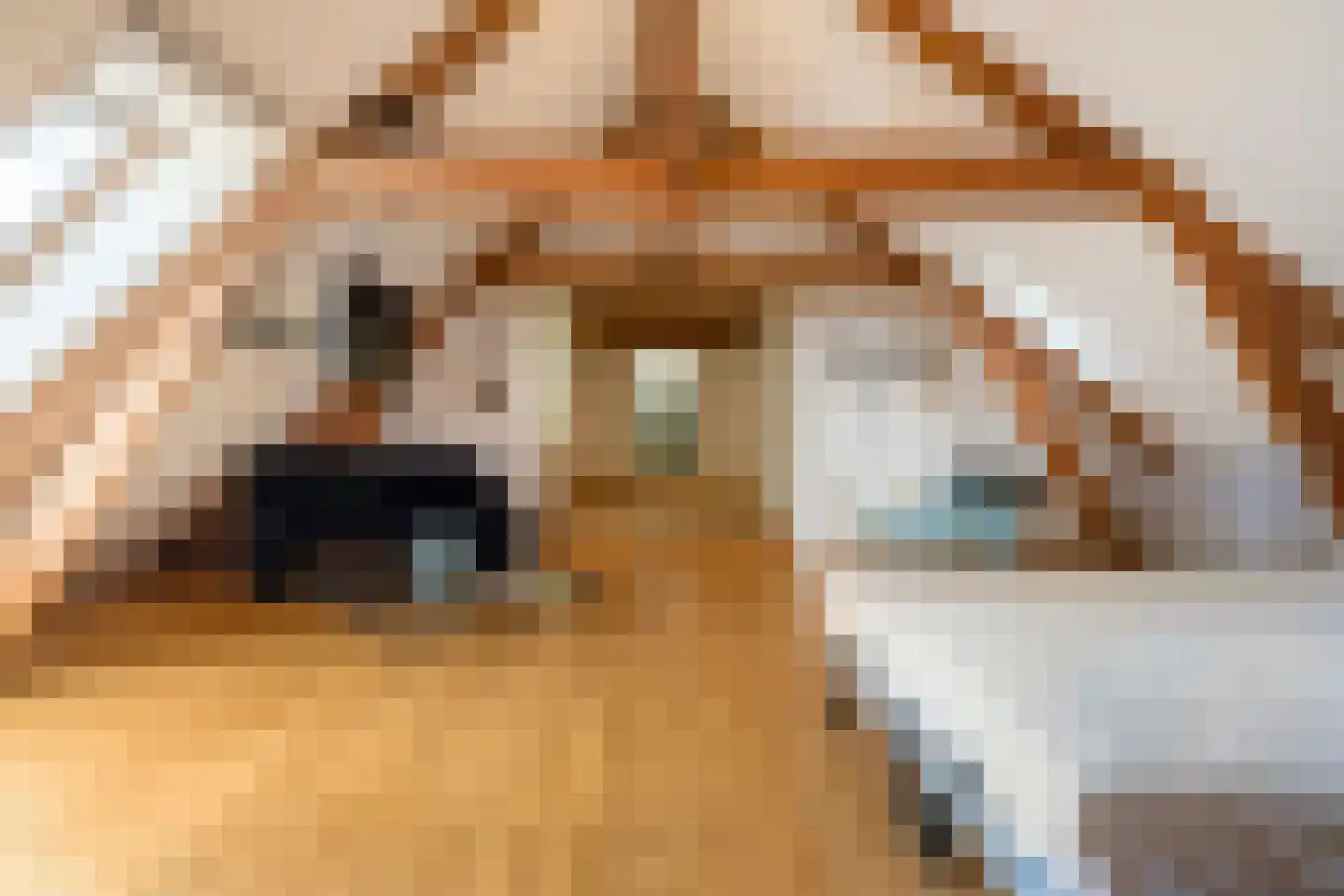Opperduit 146 Lekkerkerk thumbnail 51