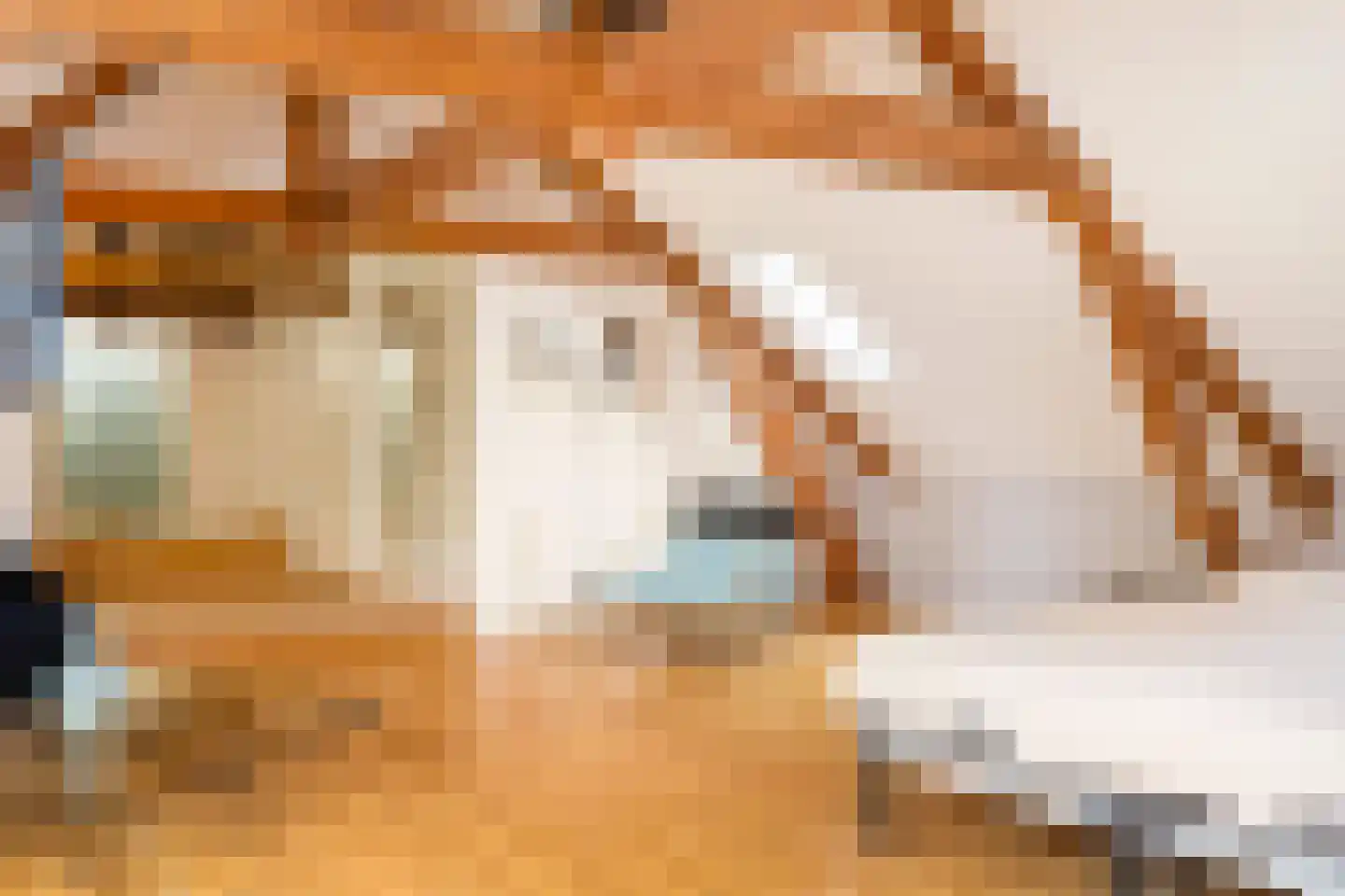 Opperduit 146 Lekkerkerk thumbnail 52