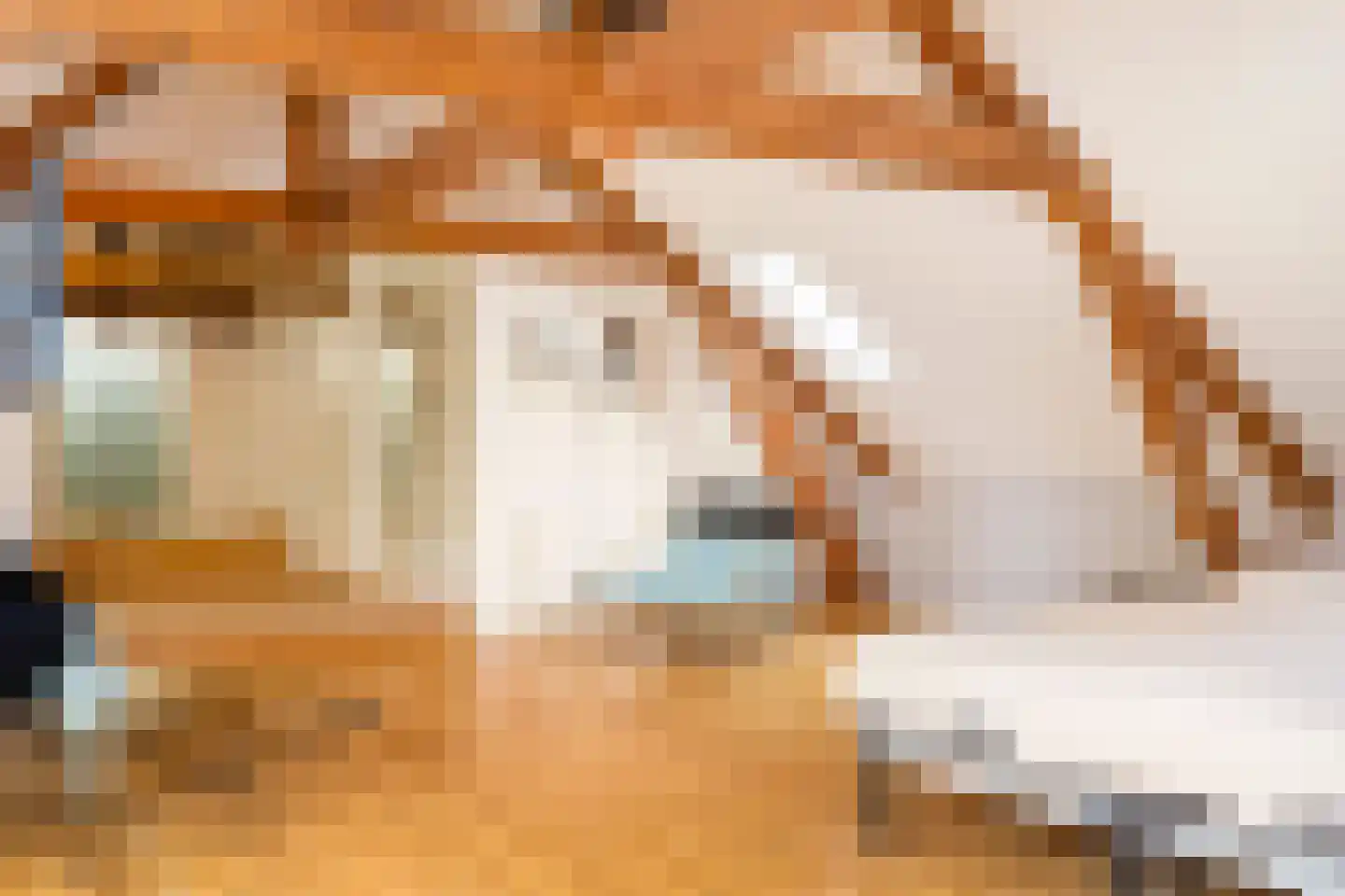 Opperduit 146 Lekkerkerk thumbnail 53